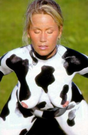cow1.jpg
